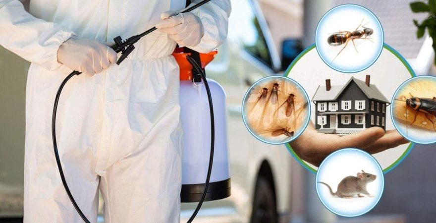 Şehzadeler Böcek İlaçlama