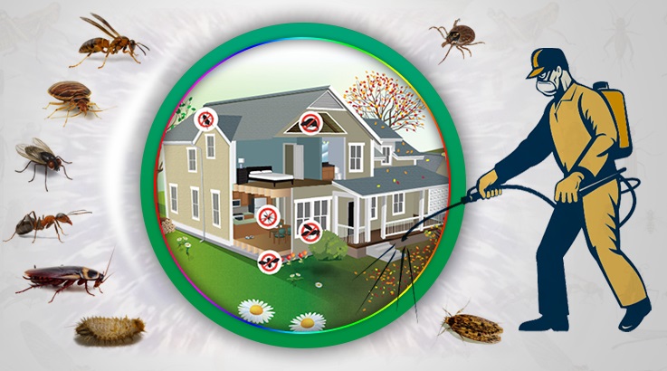 Şehzadeler Böcek İlaçlama