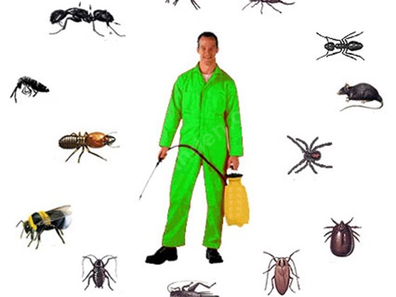 Şehzadeler Böcek İlaçlama